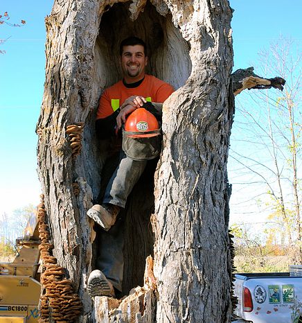 Tree Disease in Barrie, Ontario