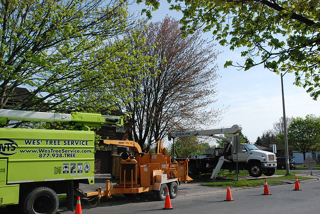 Wes Tree Service