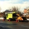 Commercial Tree Services