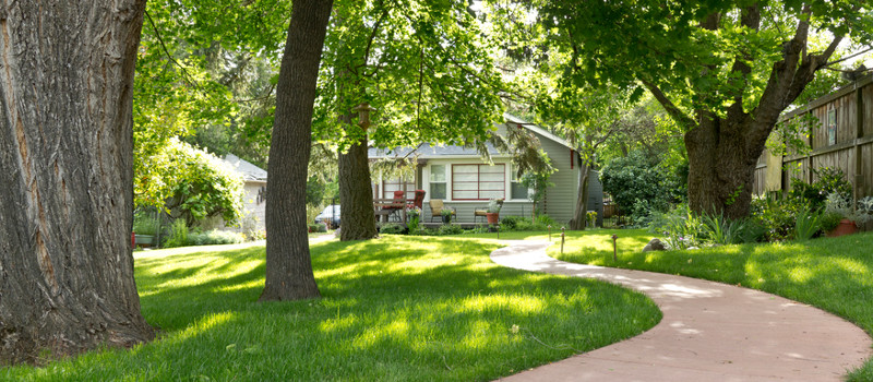 Certified Tree Arborist in Barrie, Ontario