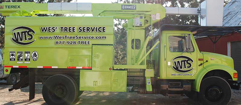 Commercial Tree Services in Barrie, ON