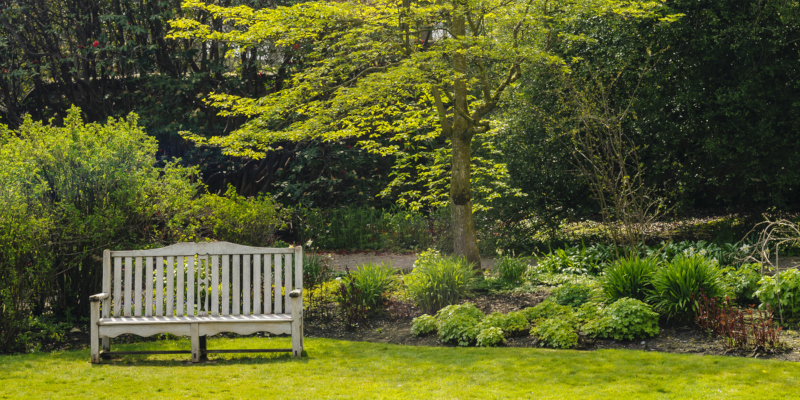 Tree services also include care for diseased trees