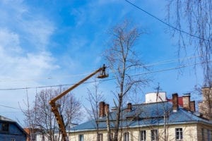 Tree removal isn’t something that is easy for arborists like ours