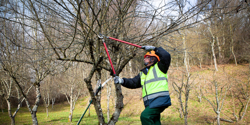 Why Tree Pruning is Important