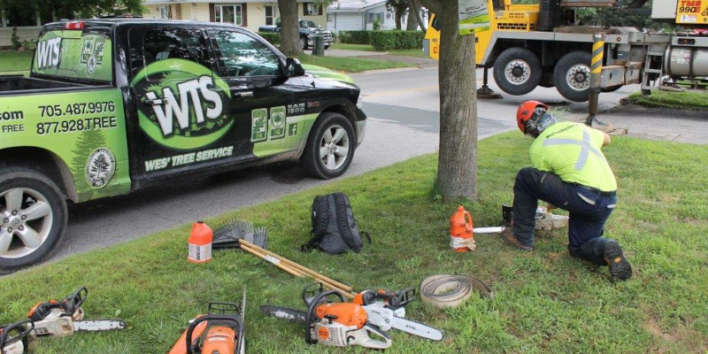 Tree Pruning is Important for the Health of Your Trees